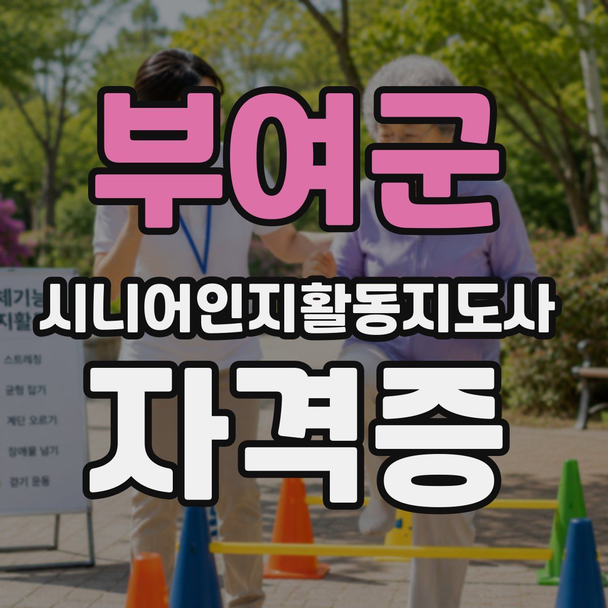 부여군 시니어인지활동지도사 자격증