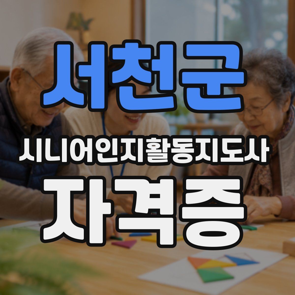 서천군 시니어인지활동지도사 자격증 학원과 독학 선택 기준