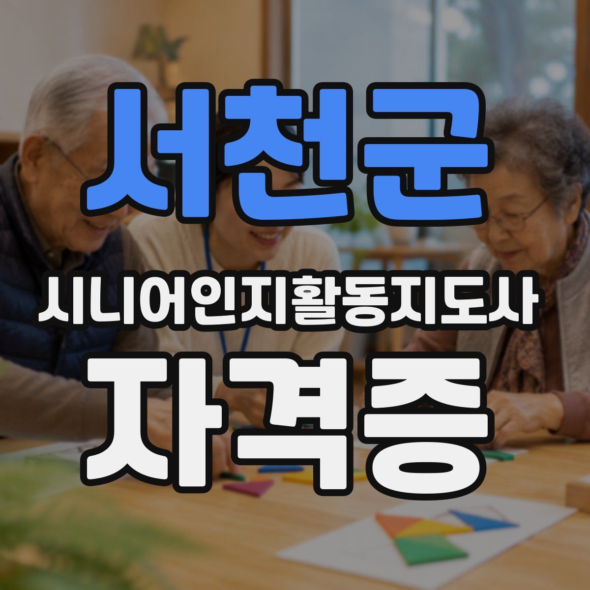 서천군 시니어인지활동지도사 자격증