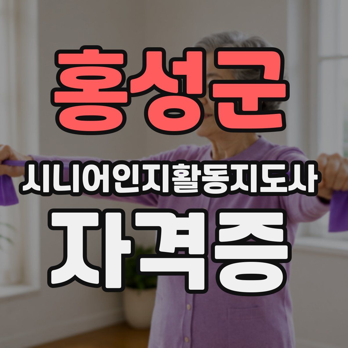 홍성군 시니어인지활동지도사 자격증