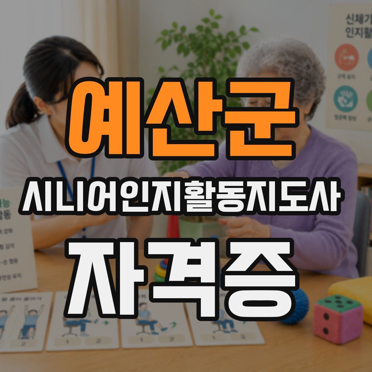 예산군 시니어인지활동지도사 자격증