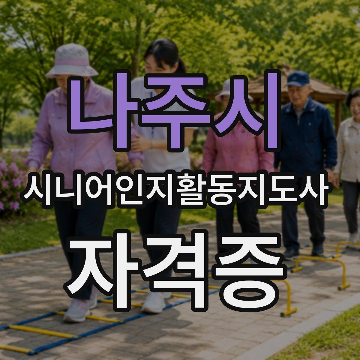 나주시 시니어인지활동지도사 자격증