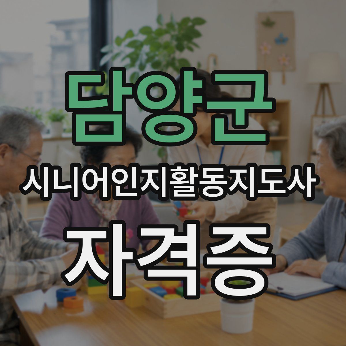 담양군 시니어인지활동지도사 자격증