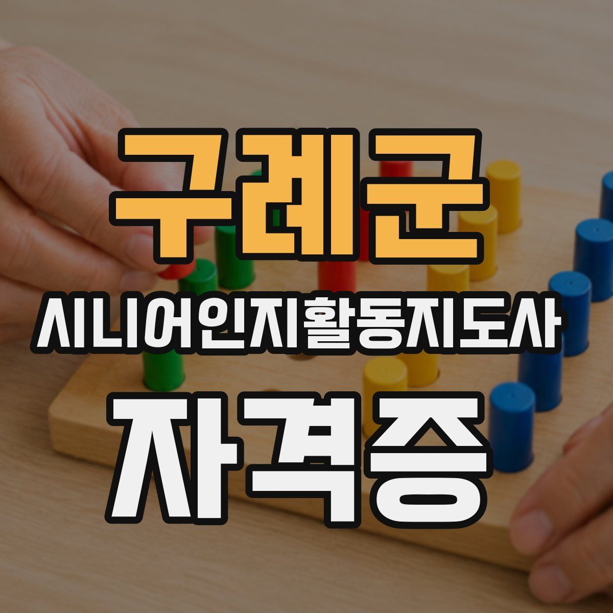 구례군 시니어인지활동지도사 자격증