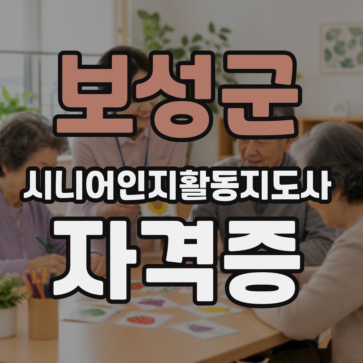 보성군 시니어인지활동지도사 자격증