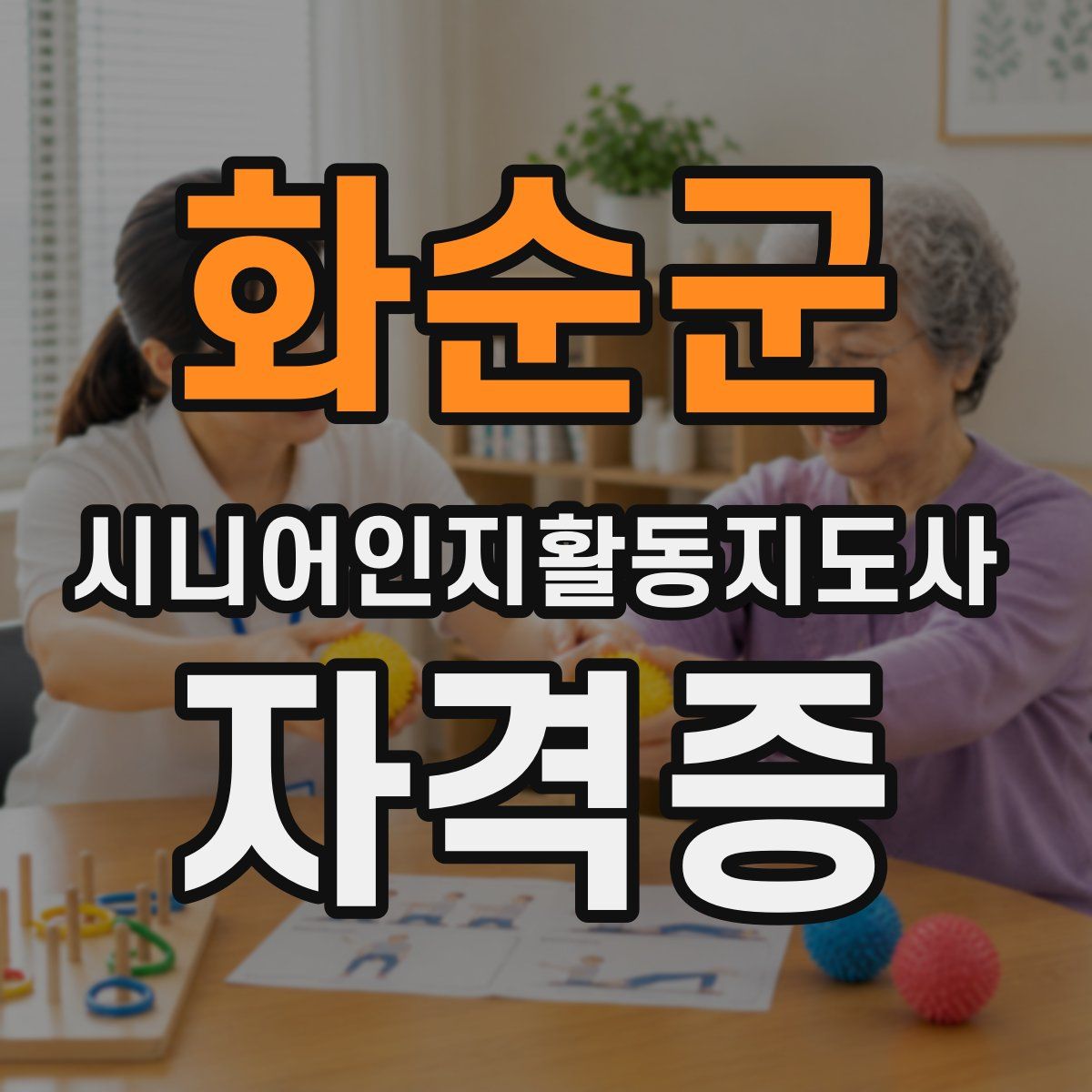 화순군 시니어인지활동지도사 자격증