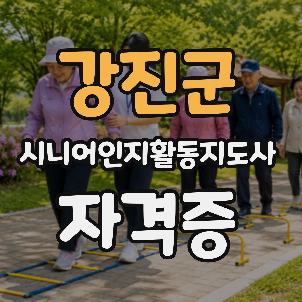 강진군 시니어인지활동지도사 자격증