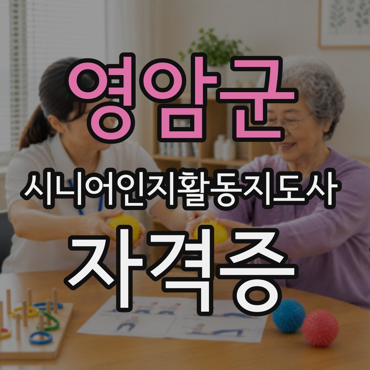 영암군 시니어인지활동지도사 자격증