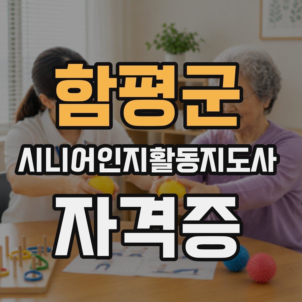 함평군 시니어인지활동지도사 자격증 준비 후 활용까지 이어지는 과정