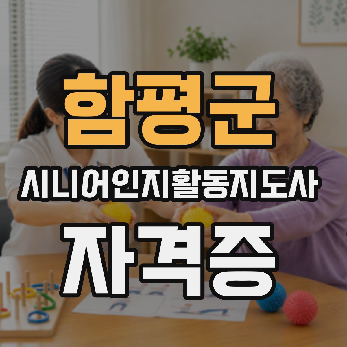 함평군 시니어인지활동지도사 자격증