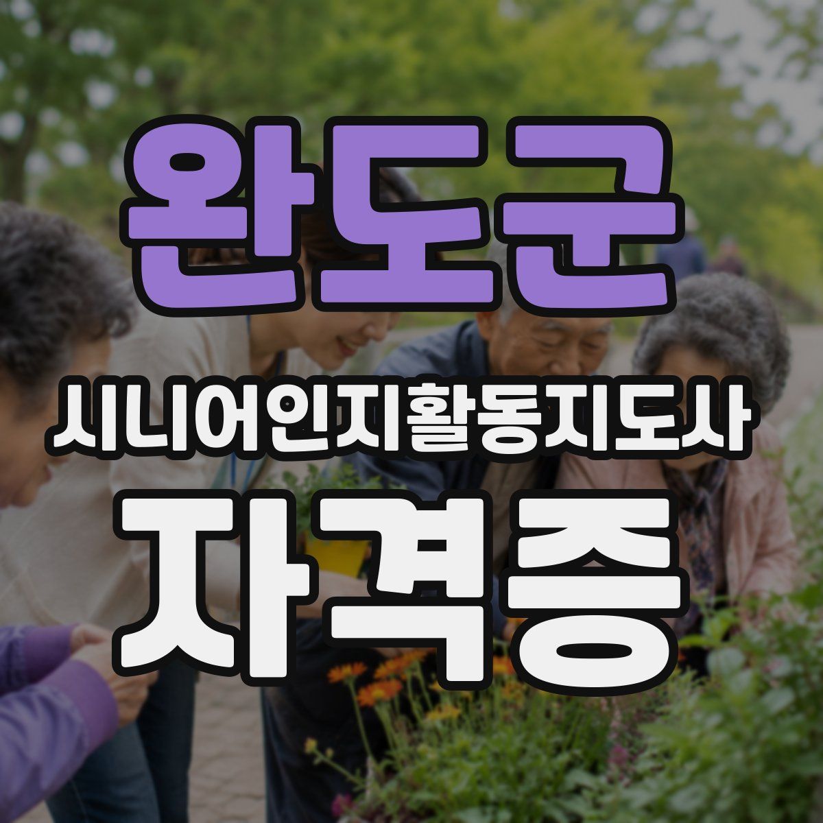 완도군 시니어인지활동지도사 자격증