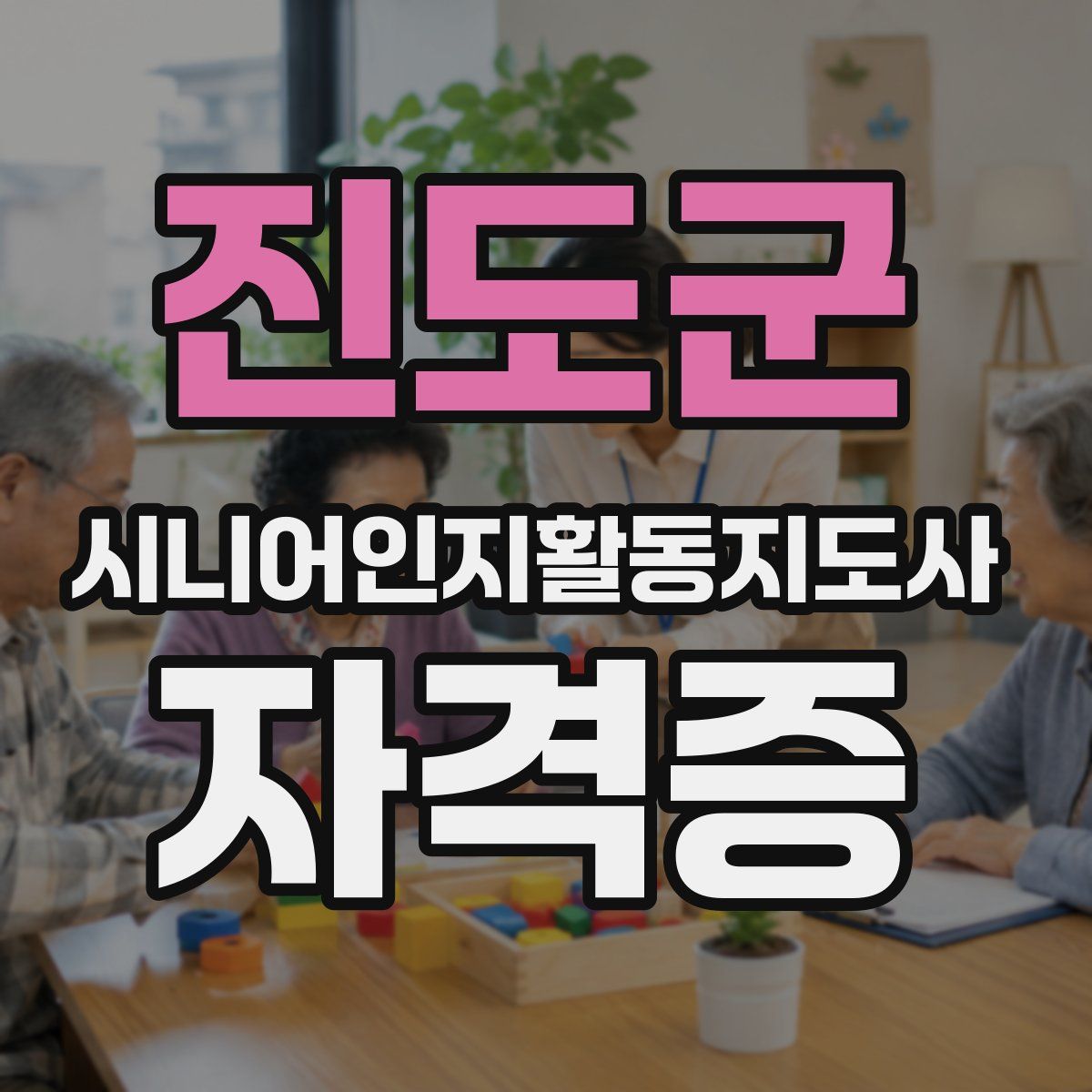 진도군 시니어인지활동지도사 자격증