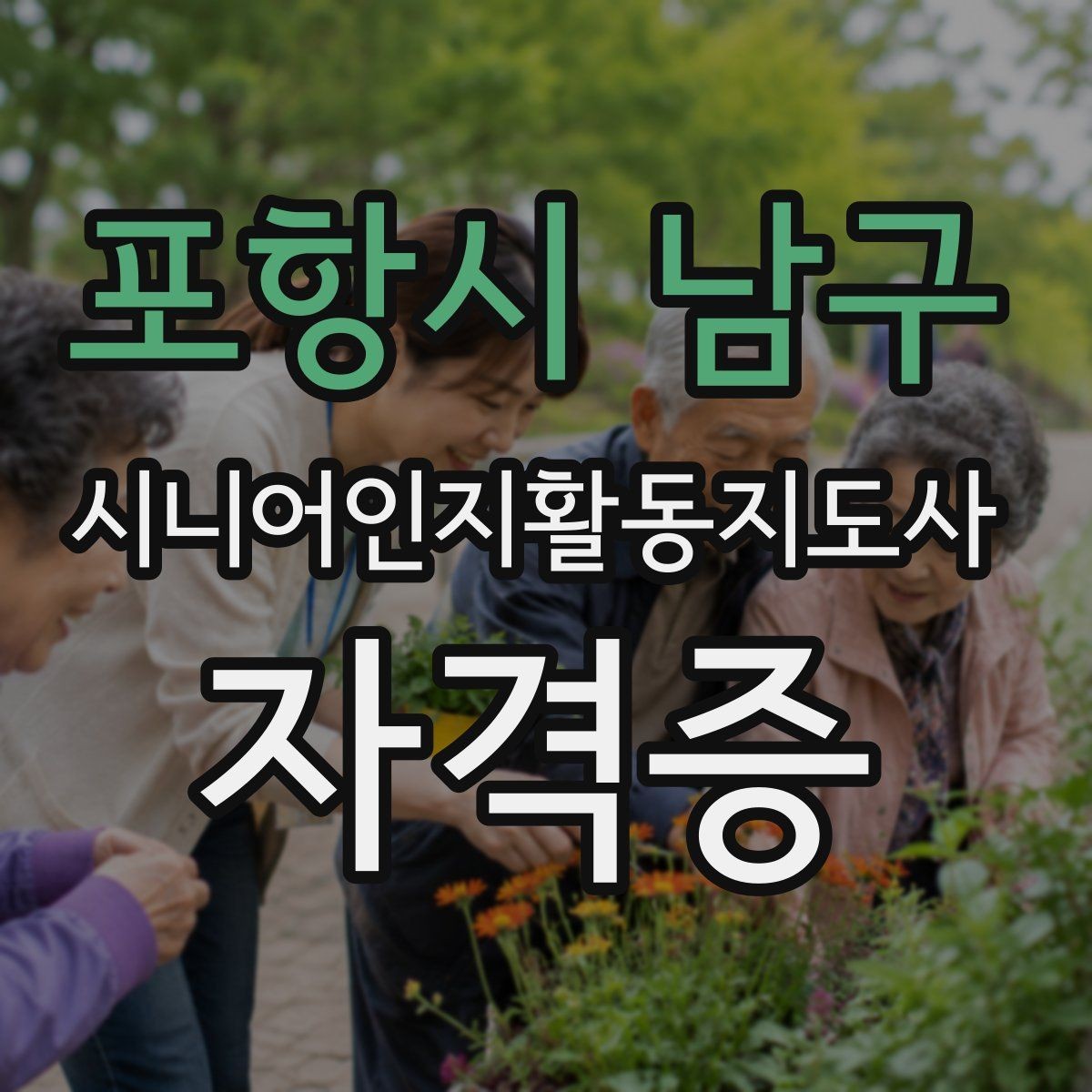 포항시 남구 시니어인지활동지도사 자격증 자격 취득 이후 활용처 정리