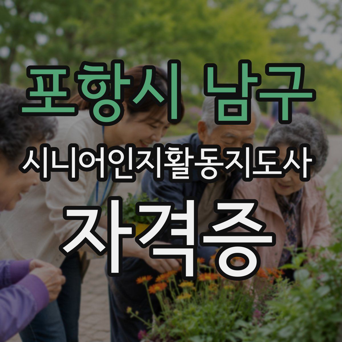 포항시 남구 시니어인지활동지도사 자격증