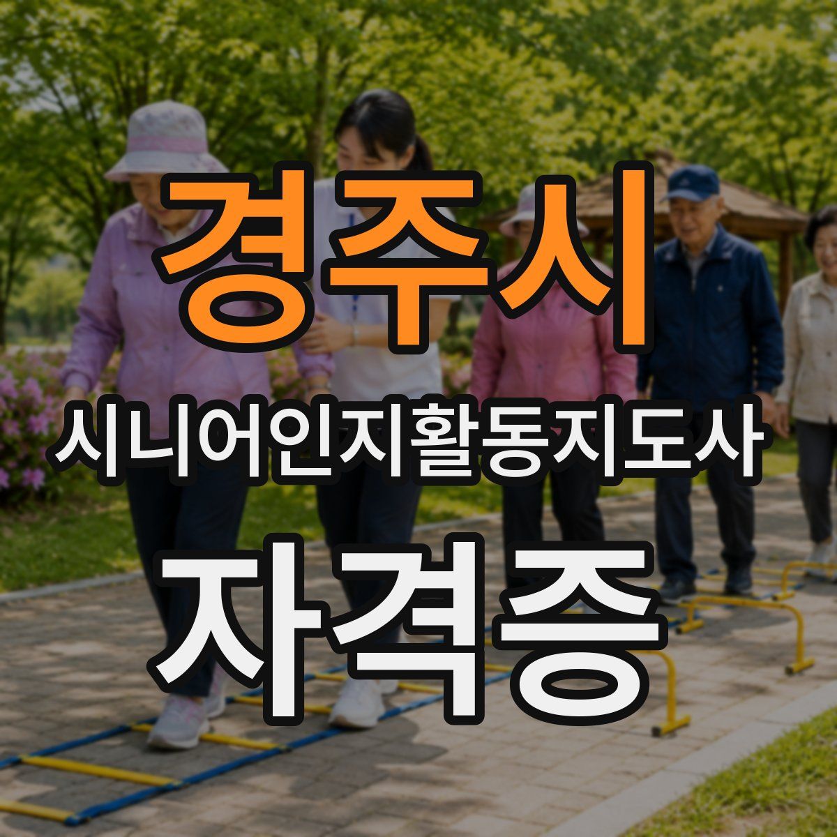 경주시 시니어인지활동지도사 자격증