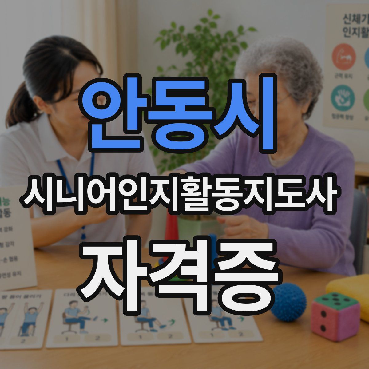안동시 시니어인지활동지도사 자격증