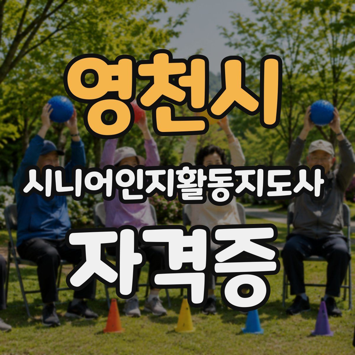 영천시 시니어인지활동지도사 자격증