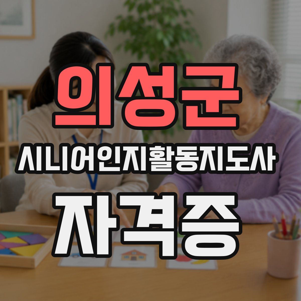 의성군 시니어인지활동지도사 자격증