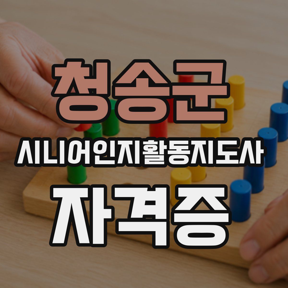 청송군 시니어인지활동지도사 자격증