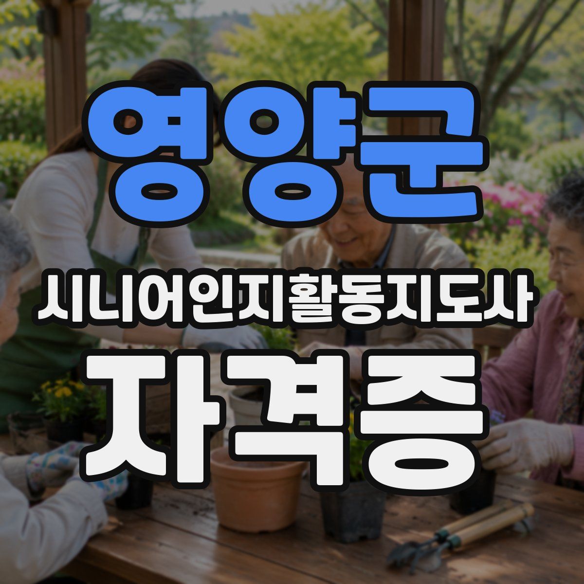 영양군 시니어인지활동지도사 자격증