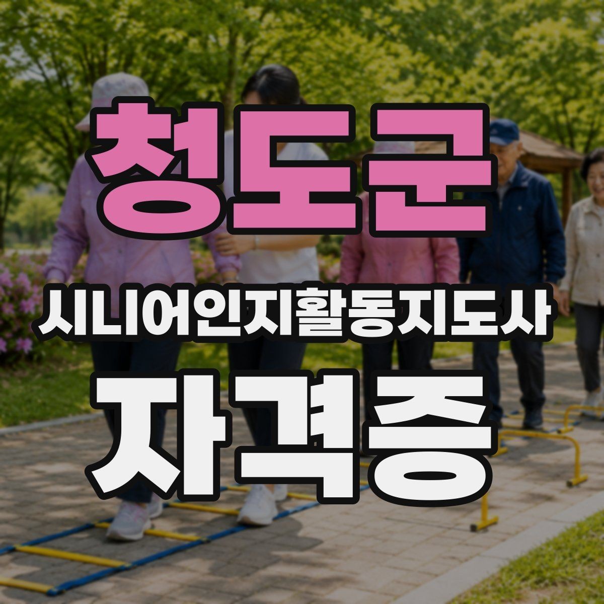 청도군 시니어인지활동지도사 자격증 강의 고를 때 보는 항목