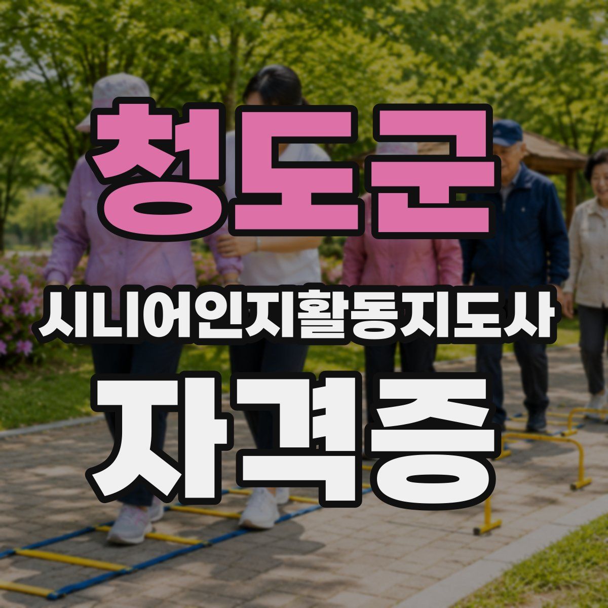 청도군 시니어인지활동지도사 자격증