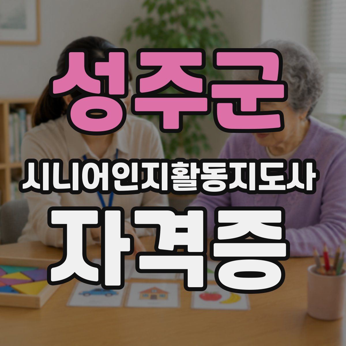 성주군 시니어인지활동지도사 자격증