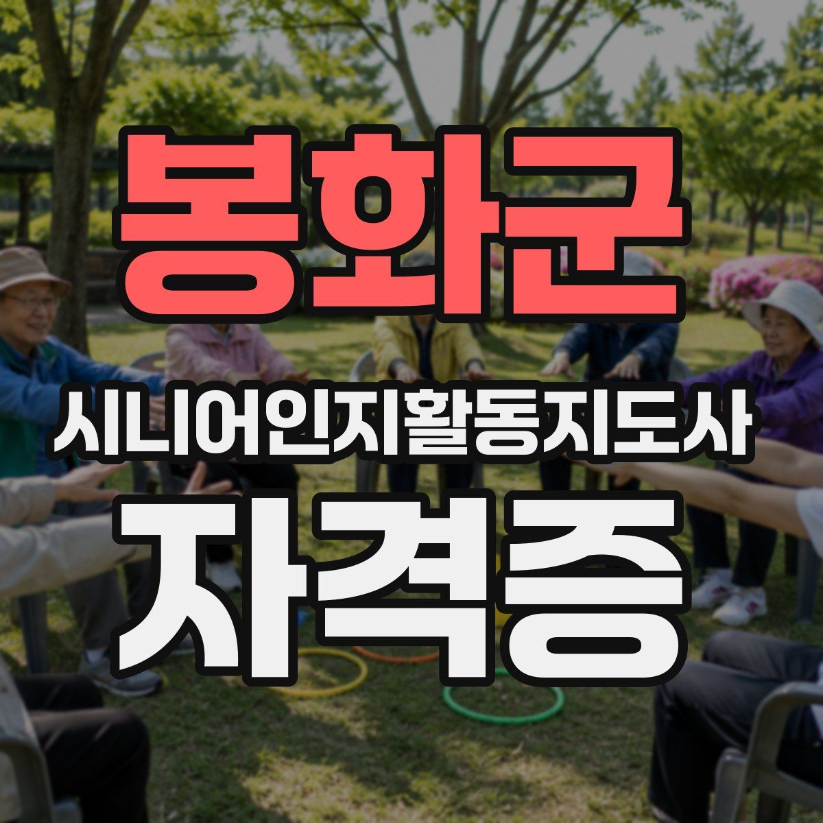 봉화군 시니어인지활동지도사 자격증