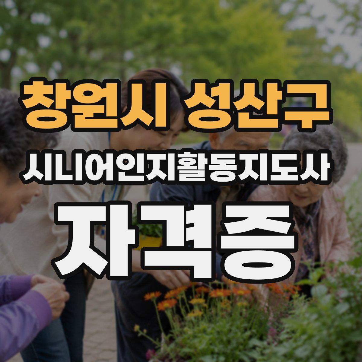 창원시 성산구 시니어인지활동지도사 자격증