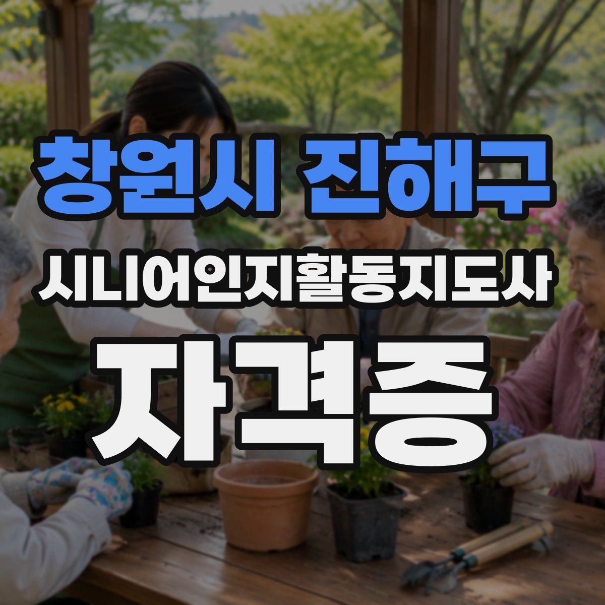 창원시 진해구 시니어인지활동지도사 자격증