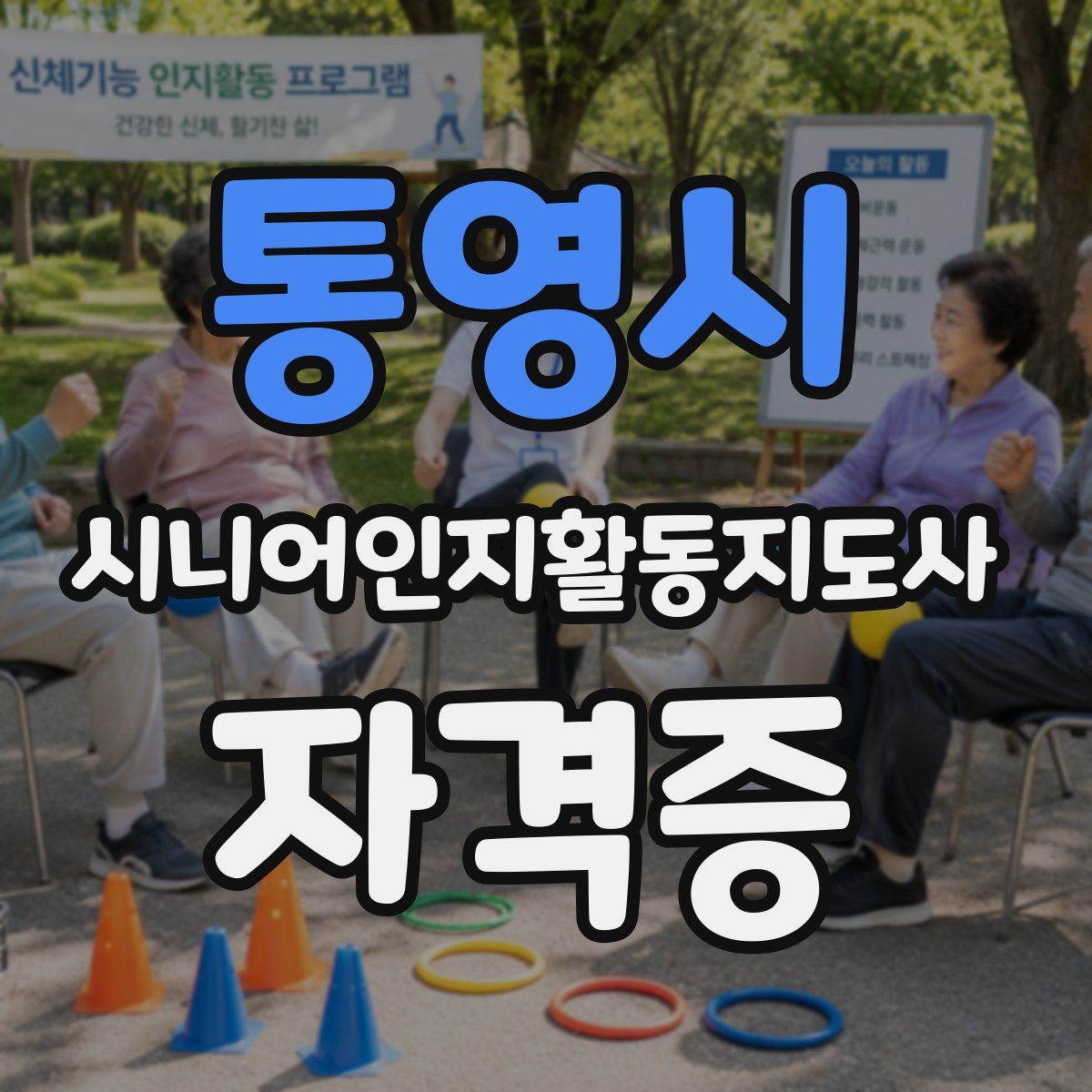 통영시 시니어인지활동지도사 자격증