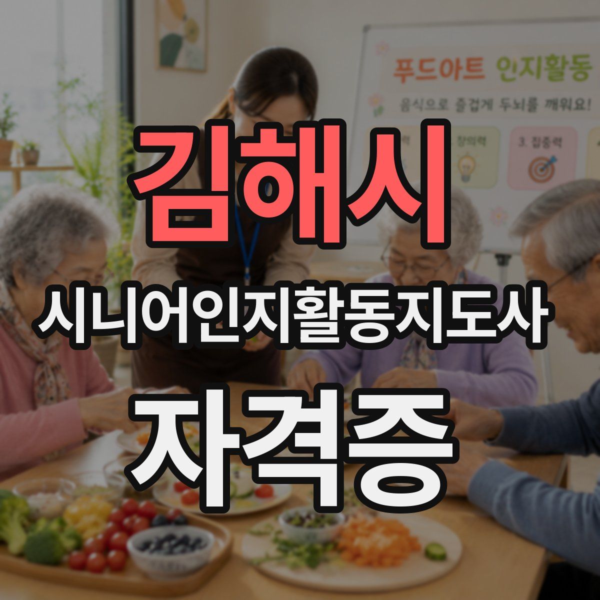 김해시 시니어인지활동지도사 자격증