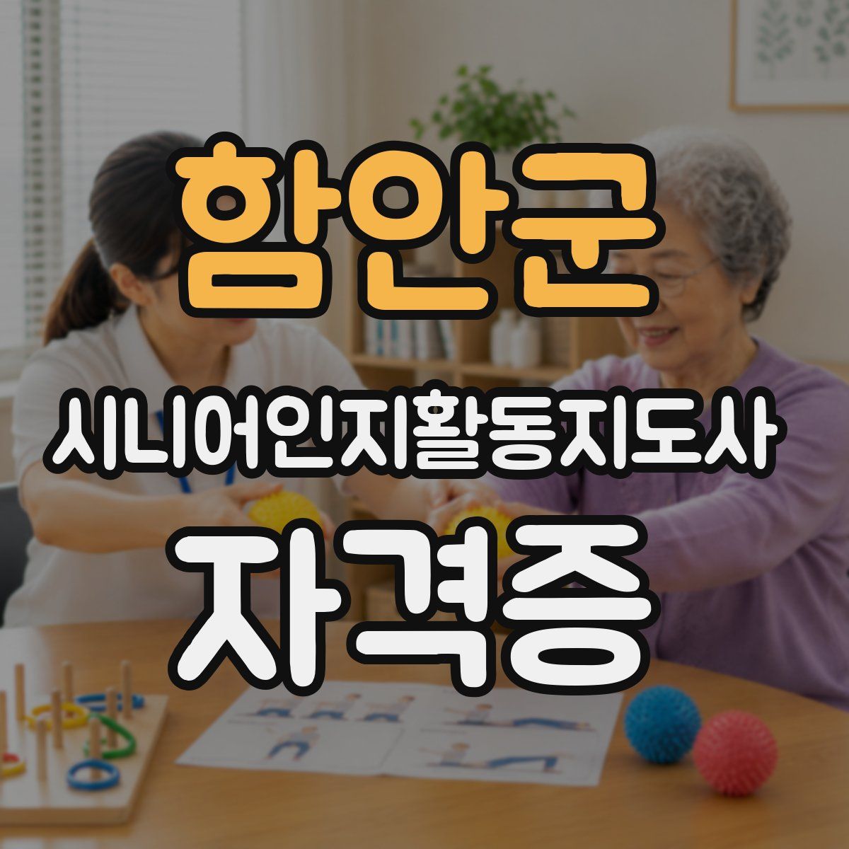 함안군 시니어인지활동지도사 자격증