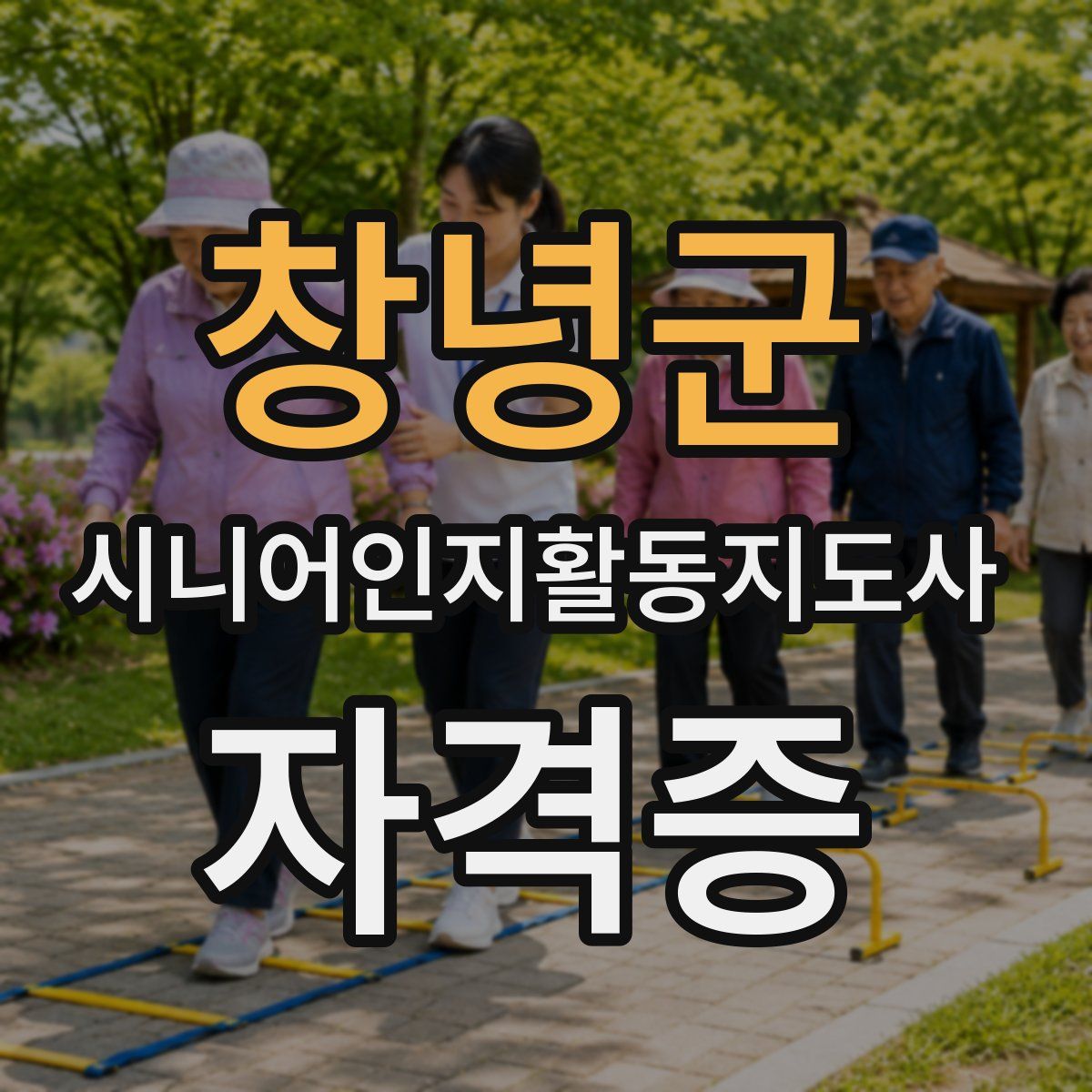 창녕군 시니어인지활동지도사 자격증