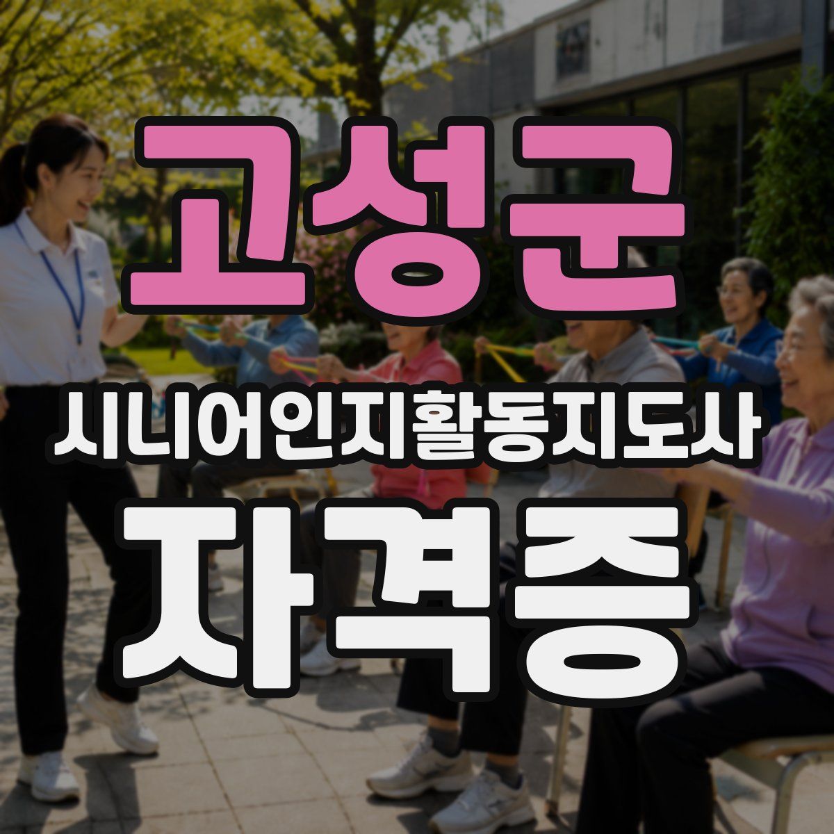 고성군 시니어인지활동지도사 자격증