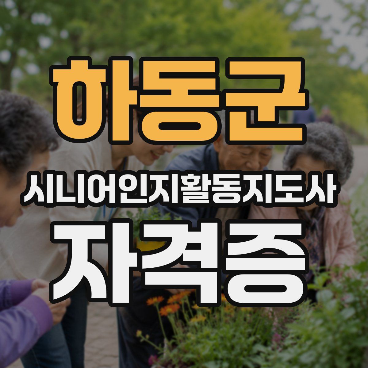 하동군 시니어인지활동지도사 자격증