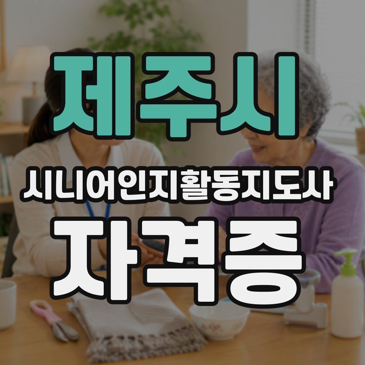 제주시 시니어인지활동지도사 자격증 현장 적용에 필요한 역량