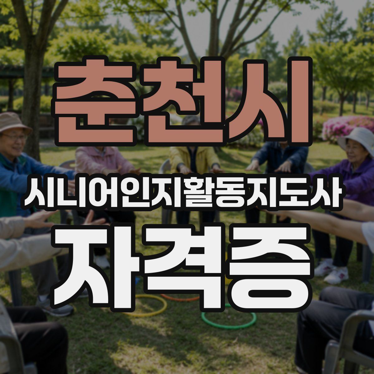 춘천시 시니어인지활동지도사 자격증