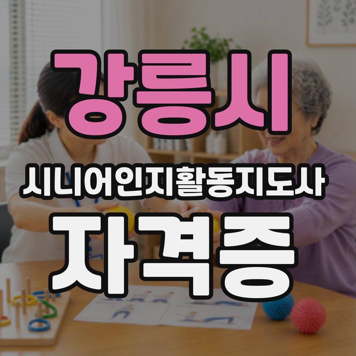 강릉시 시니어인지활동지도사 자격증