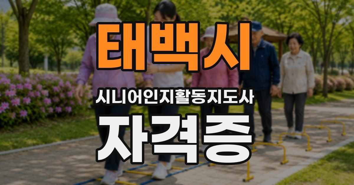태백시 시니어인지활동지도사 자격증