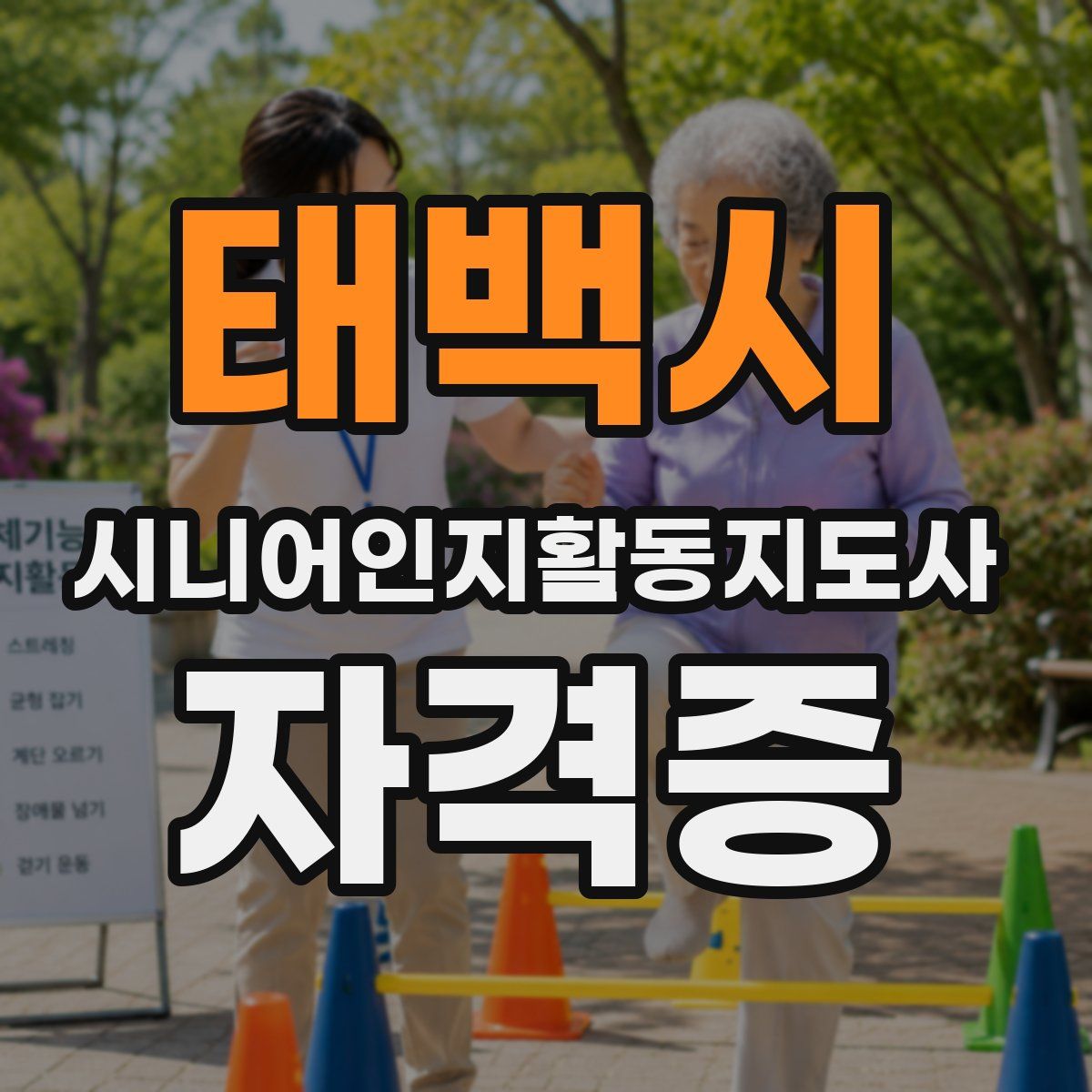 태백시 시니어인지활동지도사 자격증