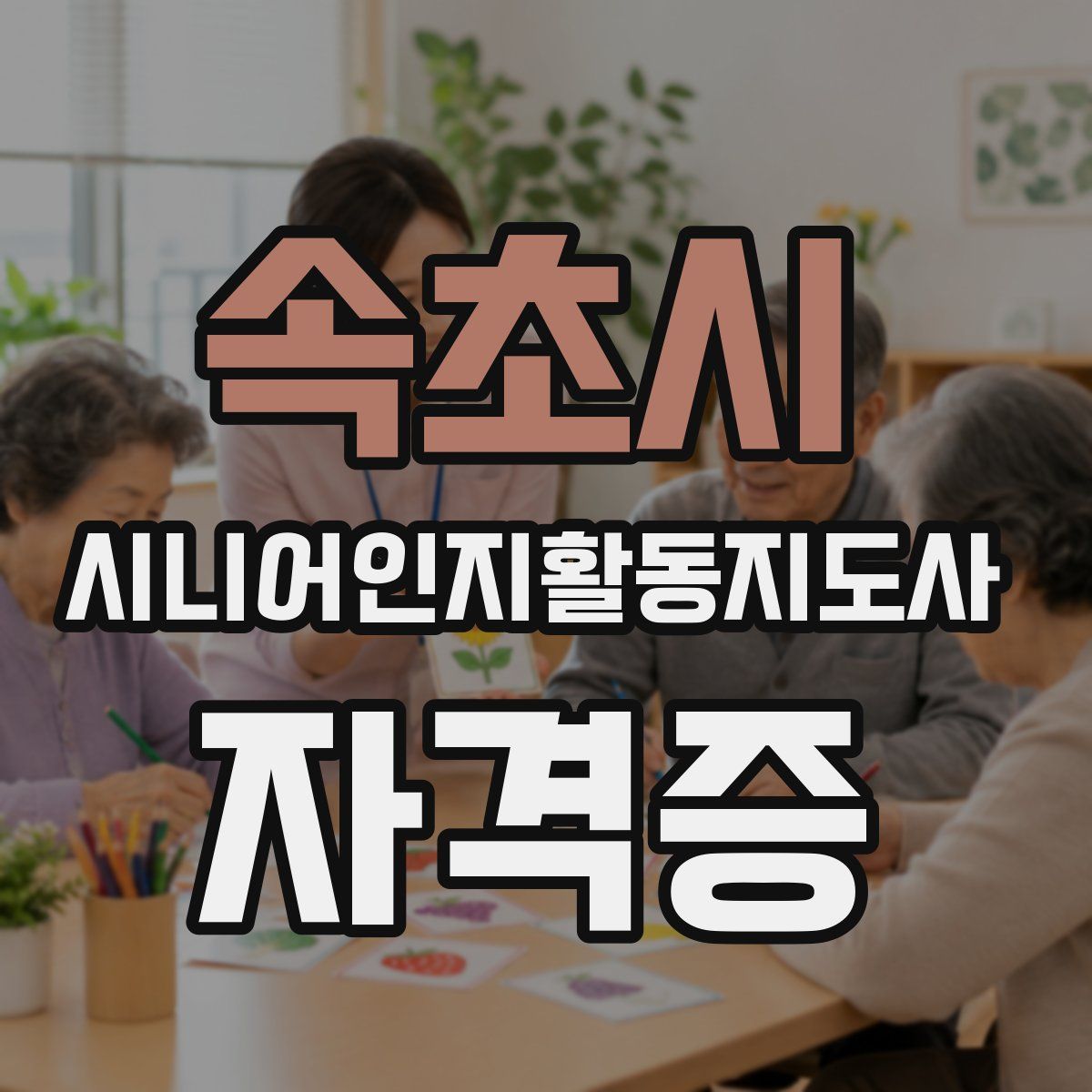 속초시 시니어인지활동지도사 자격증