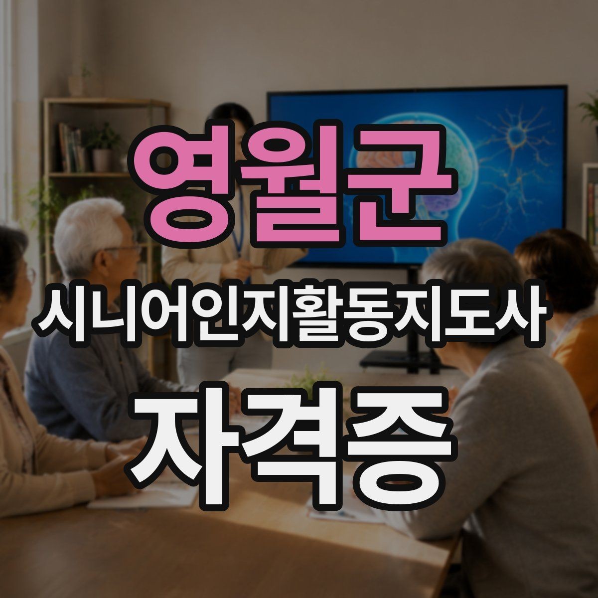 영월군 시니어인지활동지도사 자격증 준비생이 많이 찾는 정보