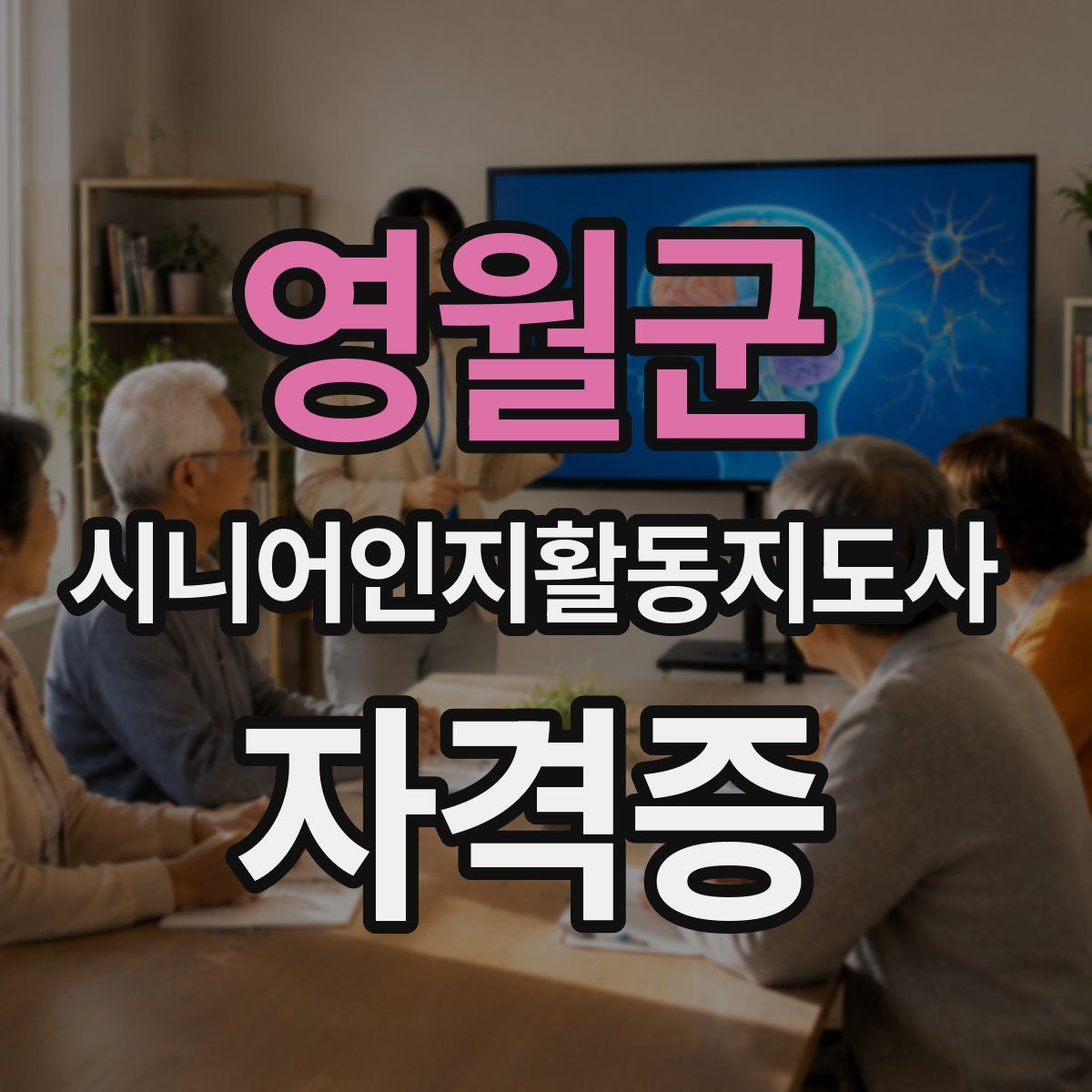 영월군 시니어인지활동지도사 자격증