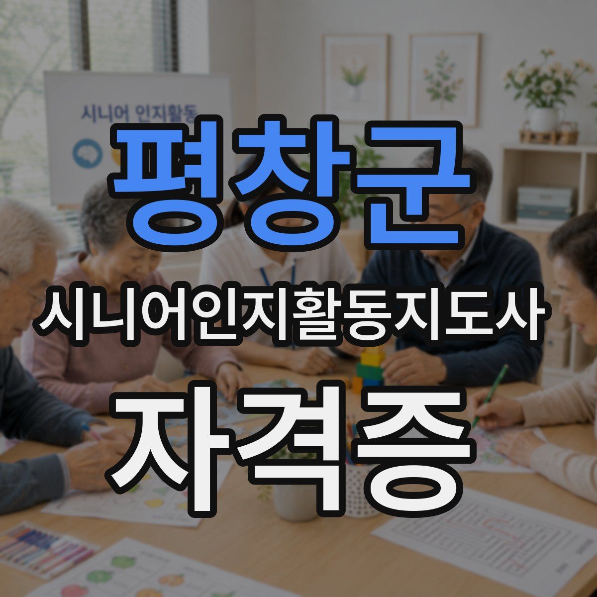 평창군 시니어인지활동지도사 자격증