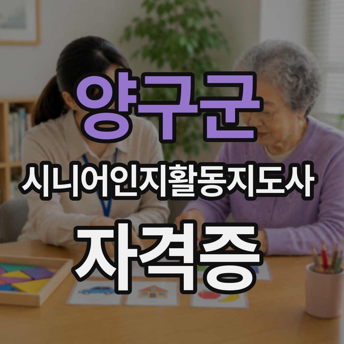 양구군 시니어인지활동지도사 자격증