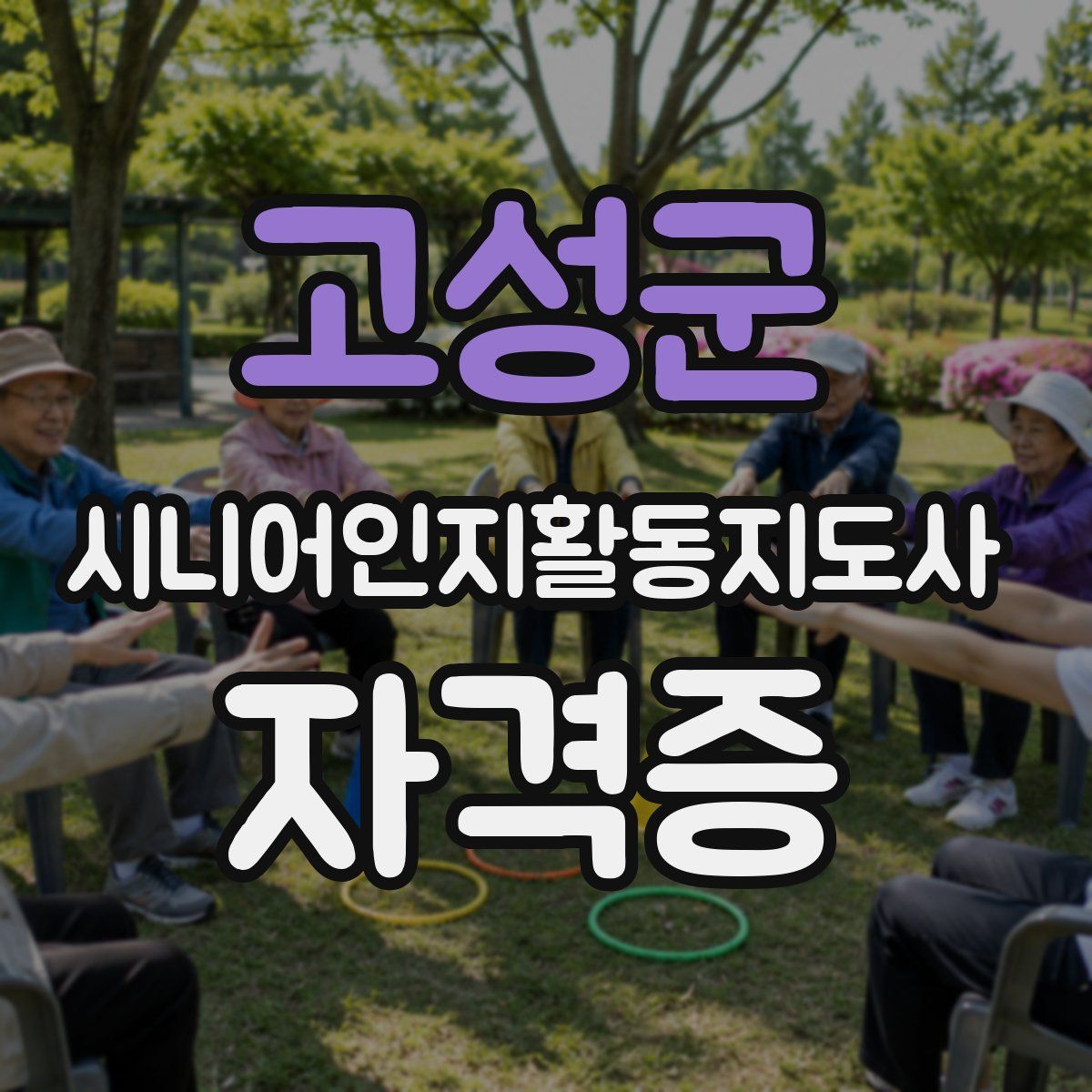 고성군 시니어인지활동지도사 자격증