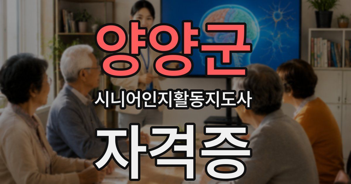 양양군 시니어인지활동지도사 자격증