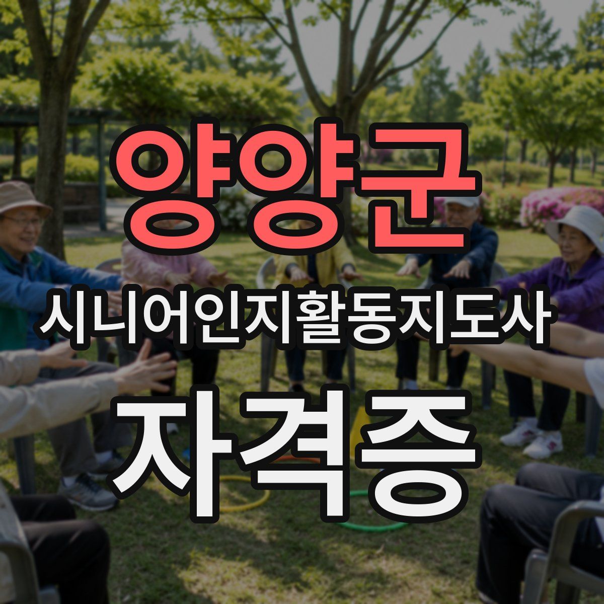 양양군 시니어인지활동지도사 자격증