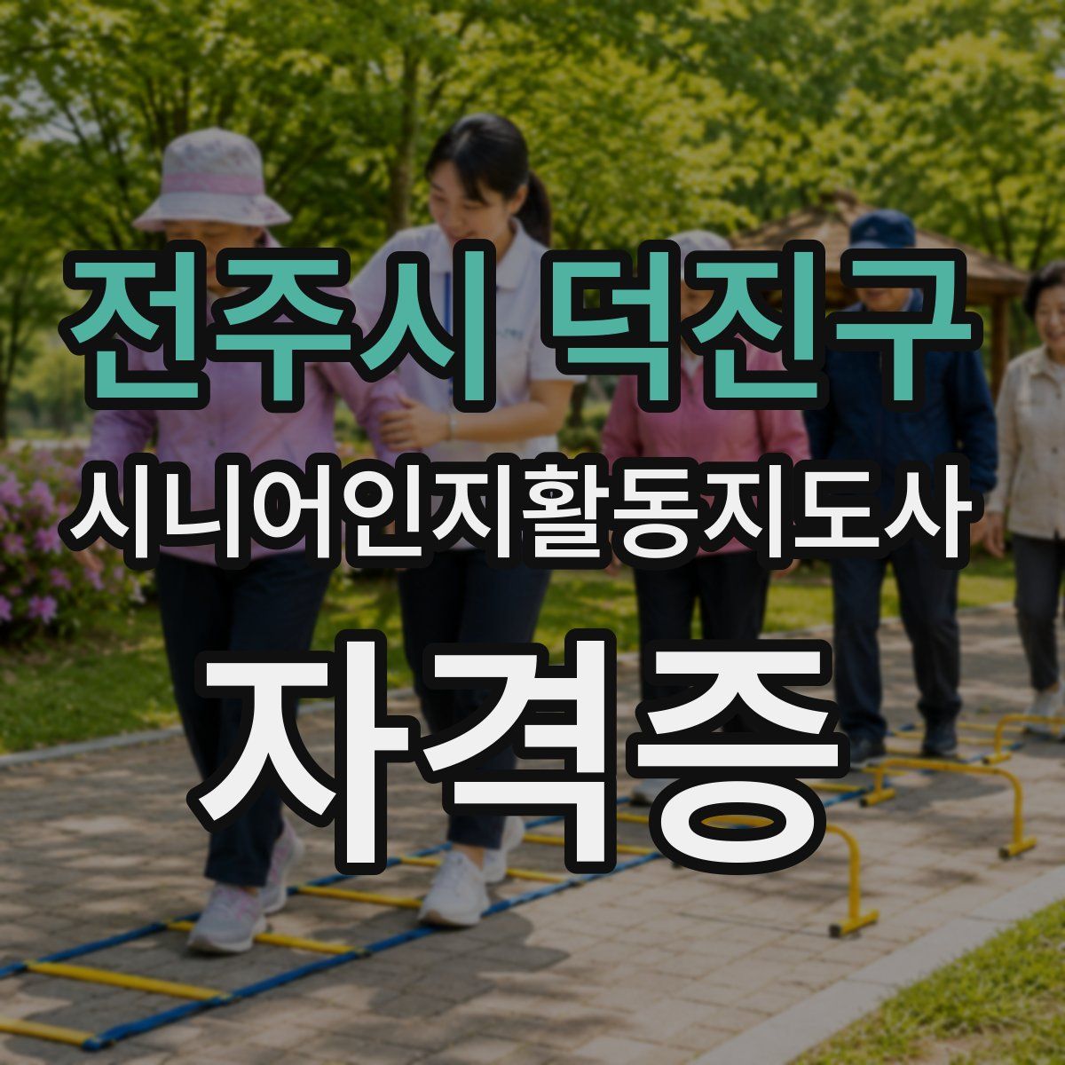 전주시 덕진구 시니어인지활동지도사 자격증